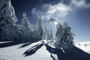 arbermandln-schnee-bayerischer-wald-1601191303