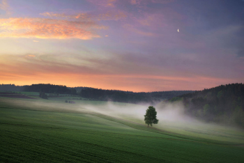 baum-landschaft-oberpfaelzer-wald-1805100430
