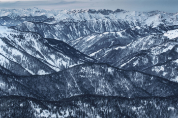 bayerische-alpen-wald-bergwald-1902140709