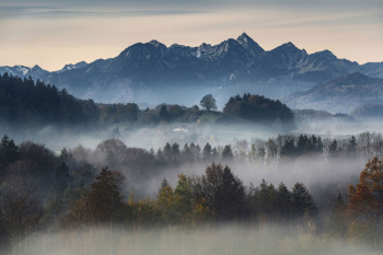 bayerische-alpen-wendelstein-baum-2211121031