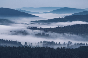 bayerischer-wald-aussicht-nebel-2005160403