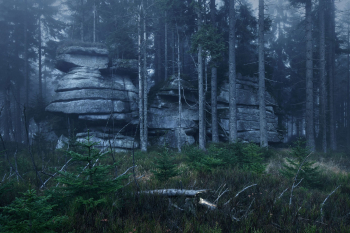 bayerischer-wald-granit-felstuerme-1411141801