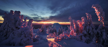 bayerischer-wald-im-winter-1601190853