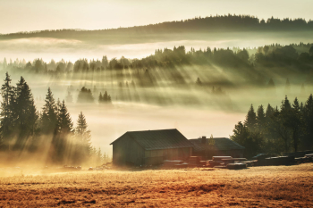 bayerischer-wald-landschaft-2005270439