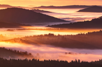 bayerischer-wald-landschaft-aussicht-2010250644