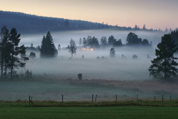 bayerischer-wald-moor-haidmühle-1609112009