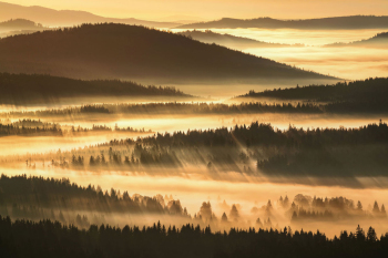 bayerischer-wald-nationalpark-2010250712
