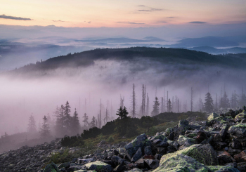 bayerischer-wald-nationalpark-landschaft-1807070450