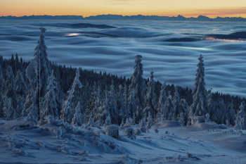 bayerischer-wald-nebelmeer-1812181813