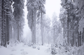 bayerischer-wald-schnee-winter-1301221355