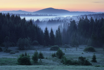 bayerischer-wald-sonnenaufgang-1805270333