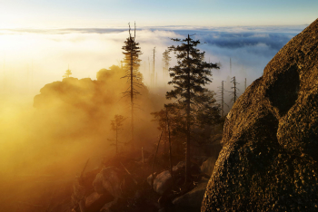 bayerischer-wald-sonnenaufgang-leuchten-1512291654