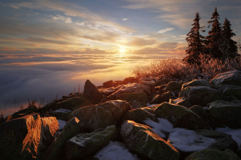 bayerischer-wald-sonnenaufgang-lusen-nationalpark-1311180825