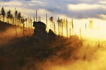 bayerischer-wald-sonnenaufgang-nebel-1512291658