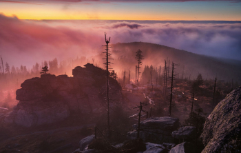 bayerischer-wald-sonnenaufgang-nebel-2011121704
