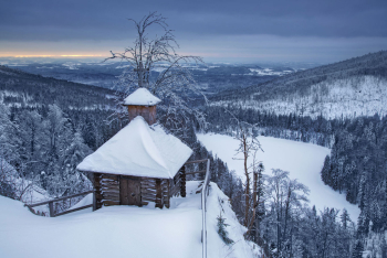 bayerischer-wald-wandern-nationalpark-1501111915