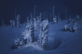 bayerischer-wald-winter-raureif-schnee-1901181806