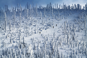bayerischer-wald-winter-schneeschuh-ski-tour-1901181503