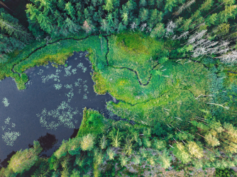 bayern-luftaufnahme-natur-wald-1807192049