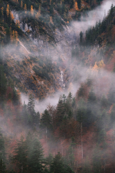 berchtesgadener-alpen-bergwald-schlucht-2111030930