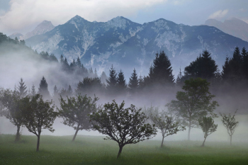 berge-obstbaeume-bayern-obstwiese-1309061855