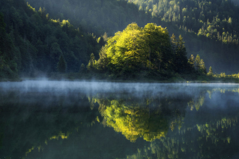 bergsee-insel-herbst-wald-bayern-2208090717