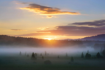 boehmerwald-sonnenaufgang-nebel-1706260512