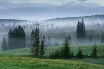 boehmerwald-sumava-landschaft-nationalpark-1805300426