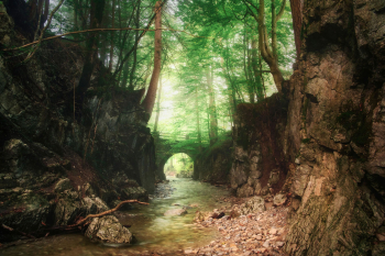 bruecke-bach-wald-maerchen-2009080751