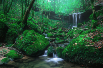 butzerbachtal-wasserfall-eifel-1904290743