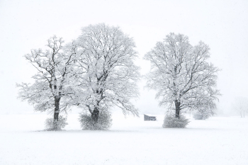 chiemgau-chiemsee-winter-2104130757