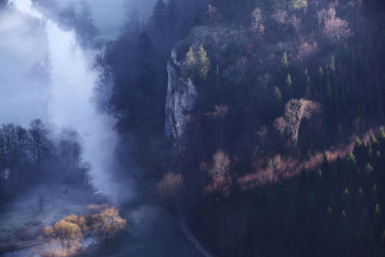 donautal-wald-felsen-1804070741