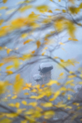 erdpyramiden-herbst-2111141303