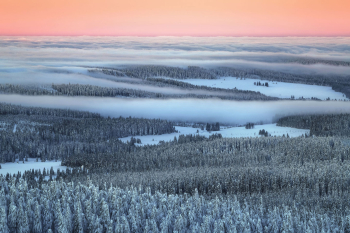 erzgebirge-wald-sonnenaufgang-1902060835