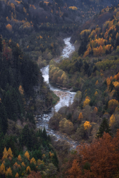 fluss-wald-baeume-herbst-2111131527