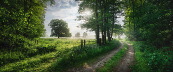 fruehling-mecklenburg-vorpommern-1906010556