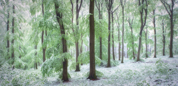 fruehling-wintereinbruch-mai-schnee-1905041007