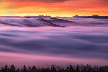 hochnebel-nebelmeer-fließender-nebel-1910240614
