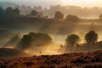 holland-landschaft-sonnenaufgang-1909100630