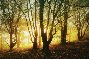Herbst Kellerwald Hessen