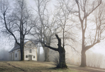 kapelle-kirche-nebel-baeume-1211171016