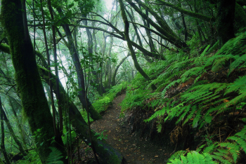 la-gomera-wandern-kanaren-1511231600
