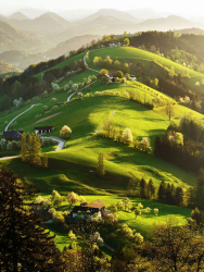 landschaft-bluehende-obstbaeume-1804201818