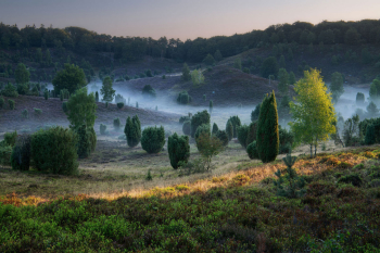 lueneburger-heide-totengrund-sonnenaufgang-1809020705