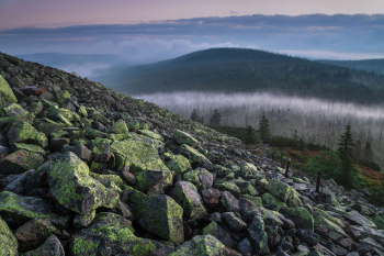 lusen-bayerischer-wald-nationalpark-1807070456