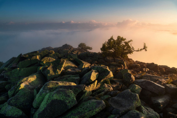 lusen-gipfel-bayerischer-wald-1807070557