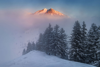 mangfallgebirge-winter-schneeschuh-2103060652