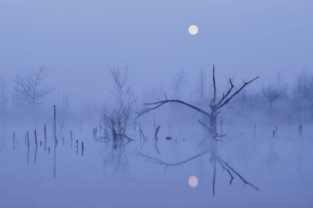 mond-moor-nebel-1504050638