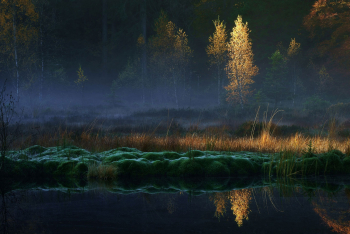 moor-herbst-schwarzwald-1610271024