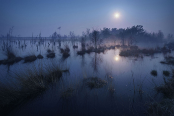 moor-mond-unheimlich-1504050600